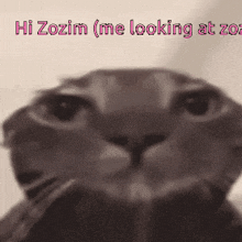 a close up of a cat 's face with the words hi zozim