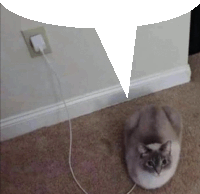 a cat laying on a carpet next to a charger