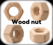 four different types of wooden nuts are shown with the word wood nut above them