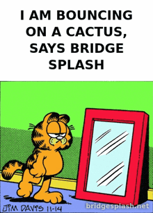 garfield is looking at himself in a mirror and says " i am bouncing on a cactus , says bridge splash "
