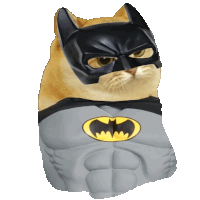 a doge wearing a batman mask and a gray muscle suit