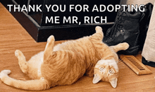 a cat laying on its back with the words thank you for adopting me mr. rich