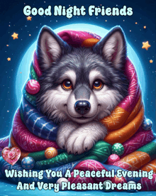 a picture of a husky wrapped in a colorful blanket