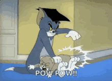 a cartoon of tom and jerry with the words pow pow below them