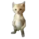 a blurry picture of a cat standing on its hind legs with a white background .