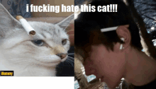 a picture of a cat with a cigarette on its head next to a picture of a person wearing earbuds