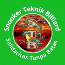 a green logo for snooker teknik billiard