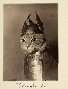 a black and white photo of a cat wearing a helmet with the name brunhilde written on the bottom