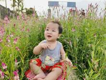 a baby is sitting in a field of flowers wearing a shirt that says hello kitty