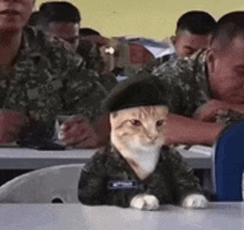 a cat dressed in a military uniform is sitting at a table in front of a group of men in military uniforms .