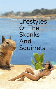 a woman in a bikini is laying on the beach with a squirrel behind her