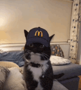 a black and white cat wearing a mcdonald 's baseball cap