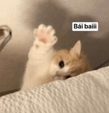 a cat is sitting on a bed with its paw up and a sign that says bai baiii .