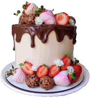 a cake with chocolate and strawberries on it