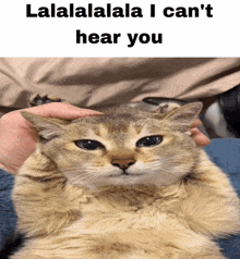 a picture of a cat with the caption lalalalala i can t hear you