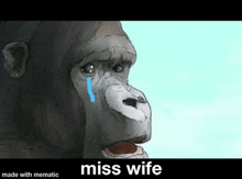 a gorilla is crying with a blue tear in his eye .