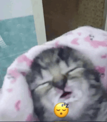 a cat is wrapped in a pink and white blanket with a smiley face on its face that says zzz