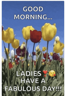 a picture of flowers with the words good morning ladies have a fabulous day on it