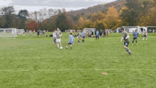 a group of soccer players are playing on a field and one of them is wearing a shirt with the number 9 on it