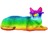 a rainbow cat wearing sunglasses is laying down