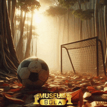 a soccer ball is in the middle of a forest with a museum bola logo behind it