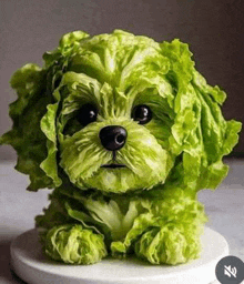 a small dog made out of lettuce leaves is sitting on a plate .