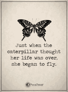 a poster with a butterfly and a quote that says " just when the caterpillar thought her life was over she began to fly "