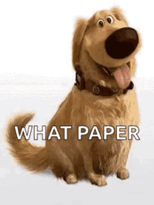 a dog from up is sitting down with its tongue hanging out and the words `` what paper '' written on it .