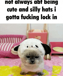 a cat wearing a hat that looks like a dog with the caption not always abt being cute and silly