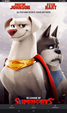 a poster for the dc league of super pets movie