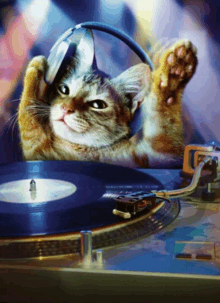 a cat wearing headphones sits on a turntable