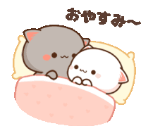 a couple of cats laying in a bed with chinese writing