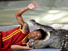 a man in a red and yellow shirt is laying next to a crocodile with its mouth open