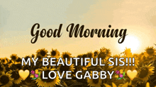 a picture of a field of sunflowers with the words good morning my beautiful sis !!! love gabby