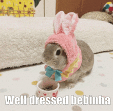 a small rabbit wearing a pink bunny hat is eating from a cup