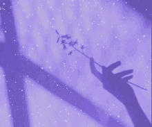 the shadow of a person holding a flower is on a purple background .