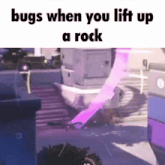 bugs when you lift up a rock is a meme