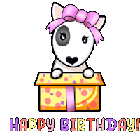 a birthday card with a bull terrier and a gift box that says happy birthday