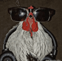 a rooster wearing sunglasses and headphones has the name ronaldhuillin on the bottom