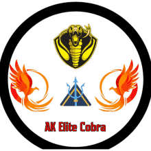 a logo for ak elite cobra with a snake and a phoenix