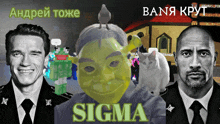 arnold schwarzenegger the rock and shrek are featured in a sigma ad