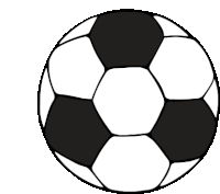 a black and white soccer ball with a white background