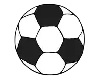 a black and white soccer ball with a white background