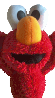 a close up of elmo 's face with a yellow beak