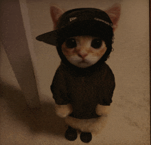 a cat wearing a hat and a hoodie with a hashtag on the back