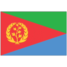 a red green and blue flag with a yellow tree in the middle