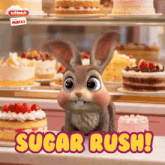 a picture of a bunny rabbit with the words sugar rush below it