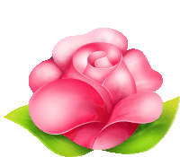 a pink rose with a green leaf on it on a white background