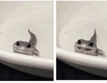 a lizard is sitting on a toilet and smiling at the camera