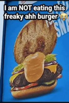 a picture of a hamburger with the words i am not eating this freaky ahh burger on it